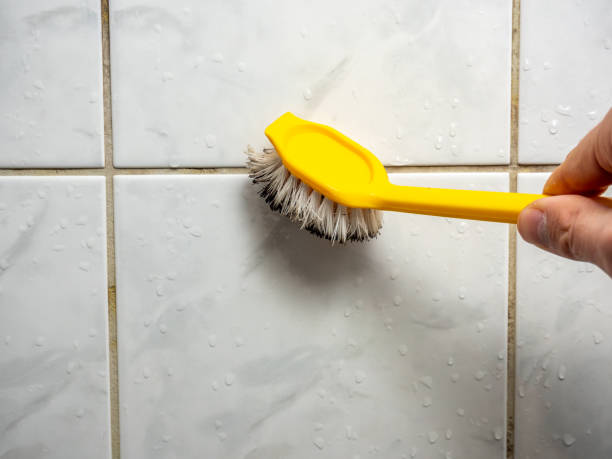Best Professional Mold Removal  in Kittitas, WA