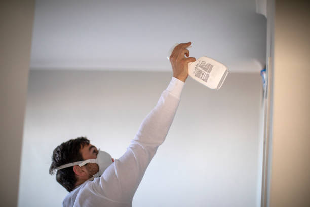 Best Professional Mold Removal  in Kittitas, WA