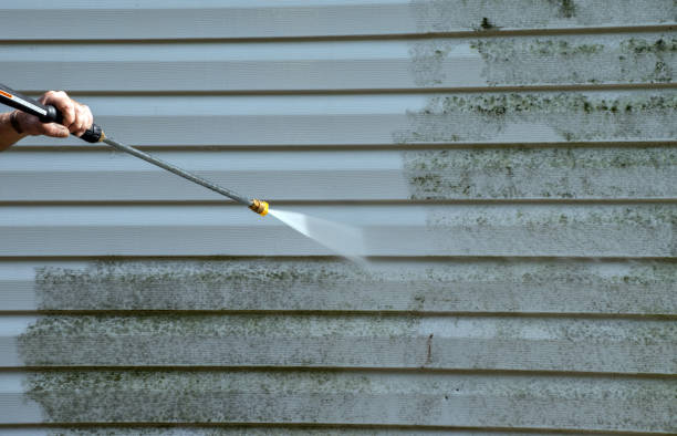 Best Residential Mold Removal  in Kittitas, WA