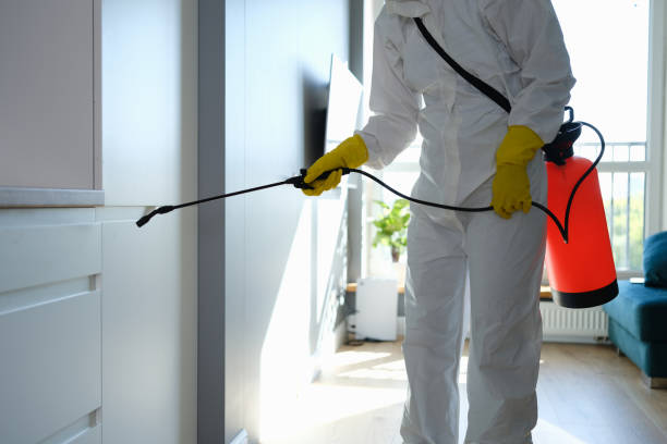 Best Mold Testing  in Kittitas, WA