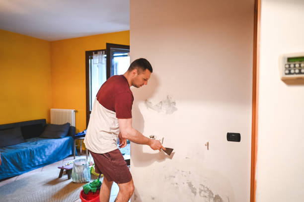Best Home Mold Removal  in Kittitas, WA