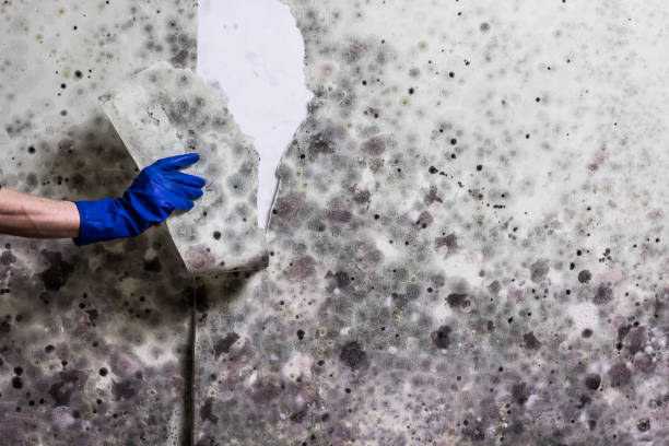 Water Damage Restoration in Kittitas, WA